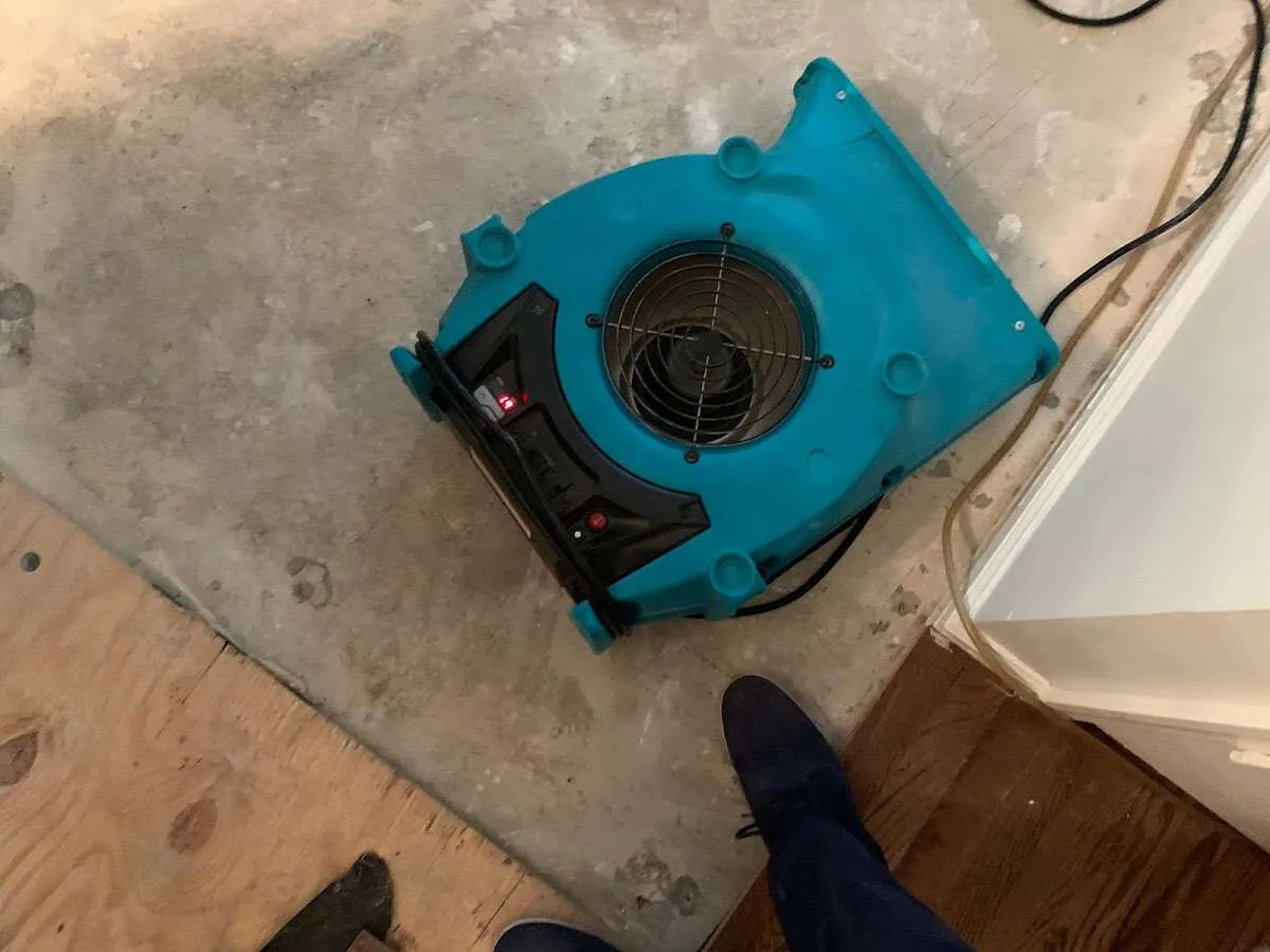 Air mover drying subfloor during Leak Detection & Repair in Mounds View
